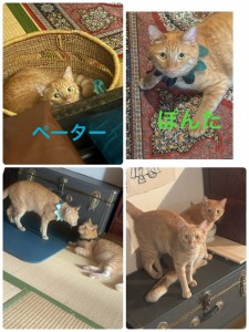 image0.jpeg